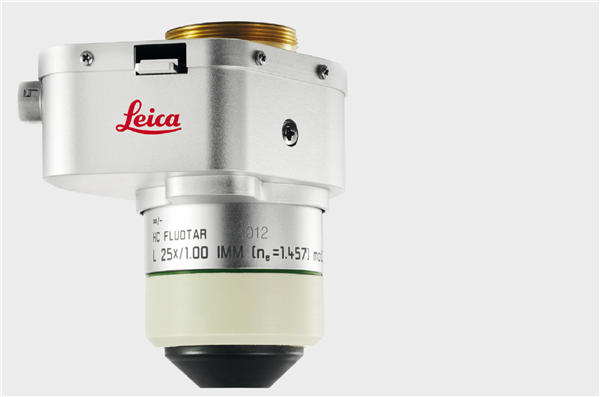 LEICA 數位層光切片掃描 (DLS), 組織澄清影像