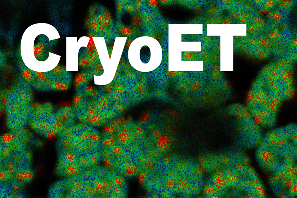 LEICA CryoET : STELLARIS 5 C