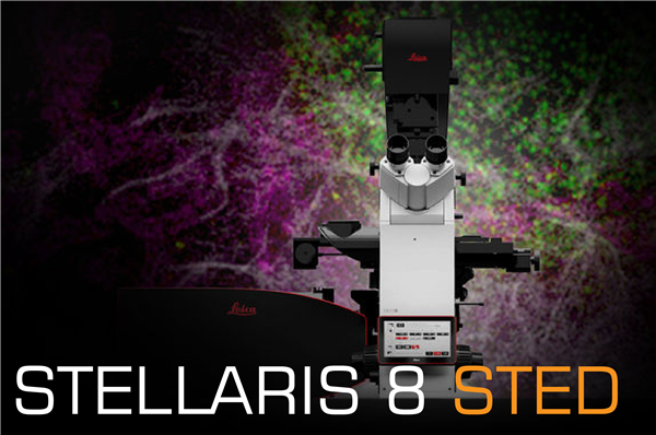 STELLARIS 8 STED 超解析奈米影像系統