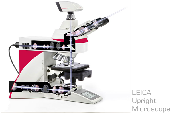 LEICA 正立光學顯微鏡總覽