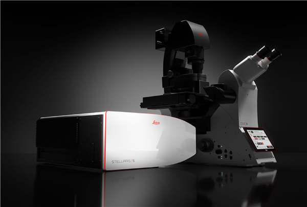 LEICA STELLARIS 光譜式共軛焦顯微鏡系統