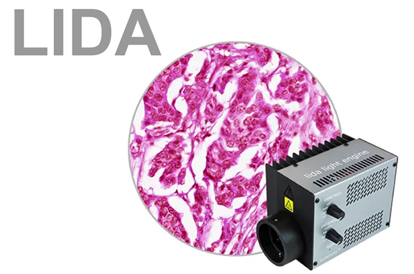 LIDA light engine