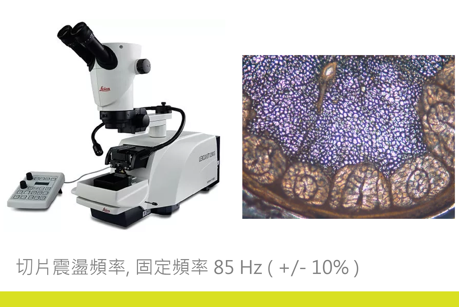 VT1200 S 震盪切片機- 美嘉儀器